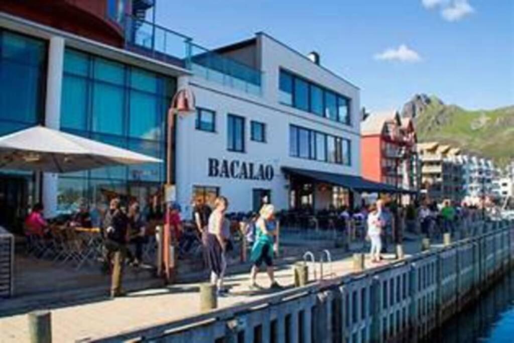 Koselig Hus I Havna Apartment Svolvaer Ngoại thất bức ảnh